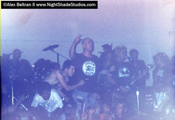 Chaos UK
